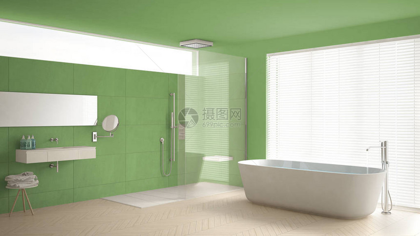 带有浴和淋浴面地板和大理石瓷砖经典白色和绿色室内设计图片