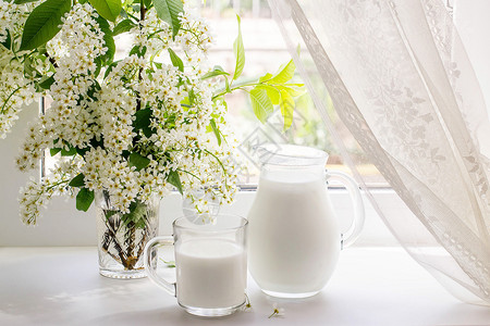 春天清晨一壶牛奶和一杯窗户上图片