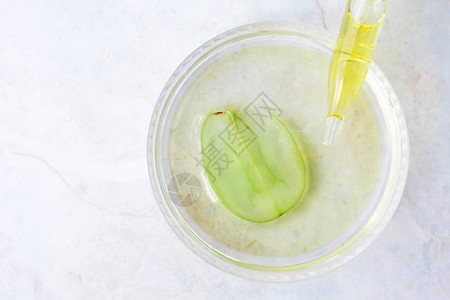 吸管中的葡萄籽油和绿葡萄片纯精华护肤油水疗护图片