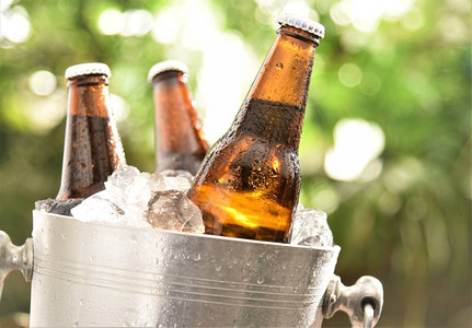 啤酒瓶在冰冷的冰中冷冻在图片