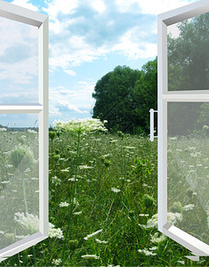 开窗通向鲜花盛开的夏日田野图片