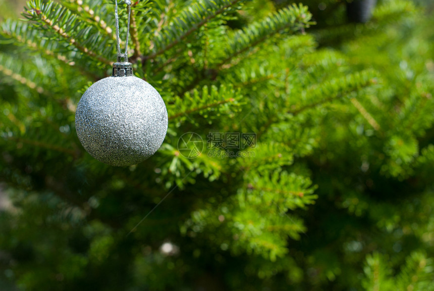 垂悬在圣诞树的唯一银色装饰品图片