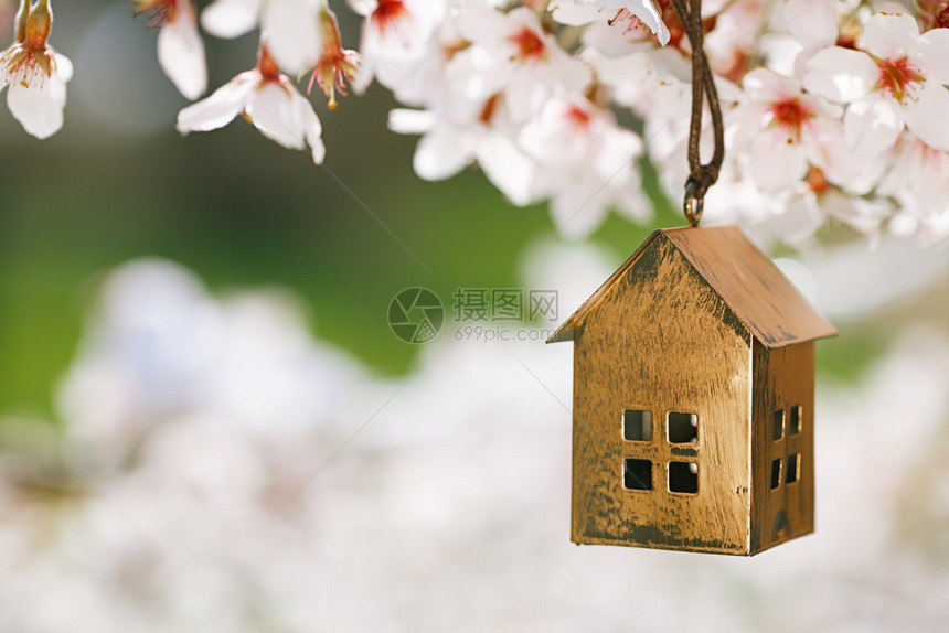 春天的小屋有花樱图片