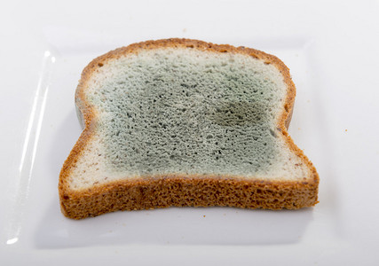 绿色和白斑的发霉面包其图片