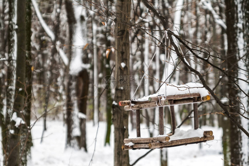 在白雪皑的森林里喂鸟的食槽特写图片
