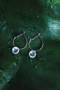 银色的婚礼耳环和白色首饰石印在热带叶片图片