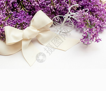 淡紫色百合花束的插图与框架图片