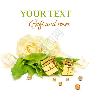 礼物玫瑰花和白色的金丝带背景图片