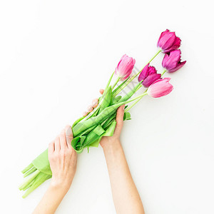 手握粉红色郁金香花束的鲜花在白色图片