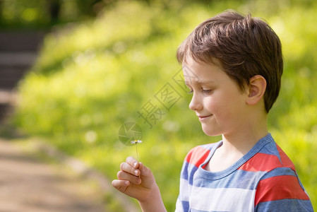 儿童节可爱的小男孩在公图片