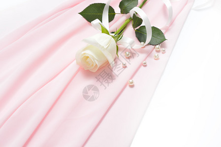 白玫瑰花带丝绑在粉图片