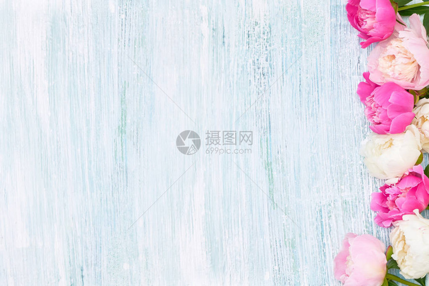 蓝色背景上的粉色和白色牡丹边框假日背景复制空间顶视图母亲节图片