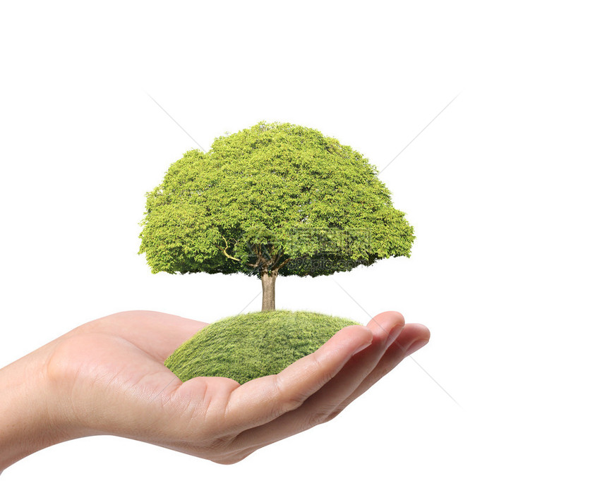 手握绿树图片