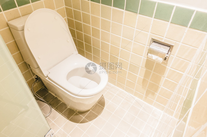浴室内厕所内置的厕所坐椅装饰图片