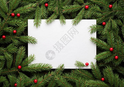 圣诞贺卡背景带有文本复制空间的纸质通知单冷杉树枝和冬青浆果的装饰框架图片