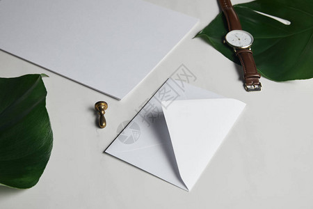 空白信封和用绿叶观察白图片