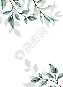 以水彩叶和花边白色背景花朵花板上鲜背景图片