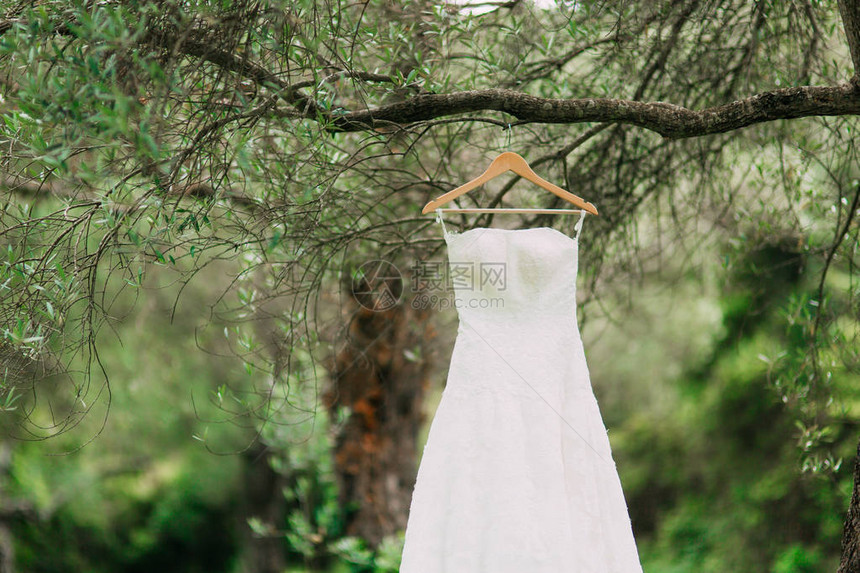 新娘礼服挂在一棵橄榄树的衣架上在黑山的橄榄园里接新娘在图片