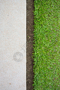 绿草和水磨石地板背景图片