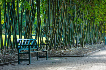 竹公园椅子图片