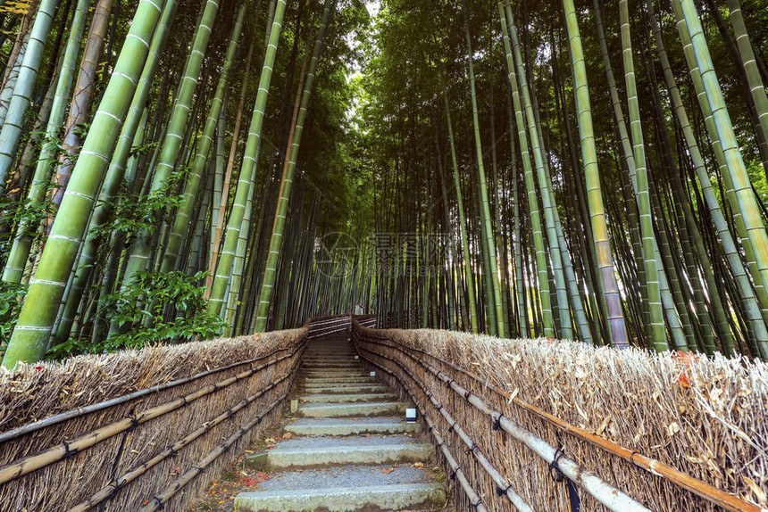 日本京都岚山AdashinoNenbutsuji寺的图片