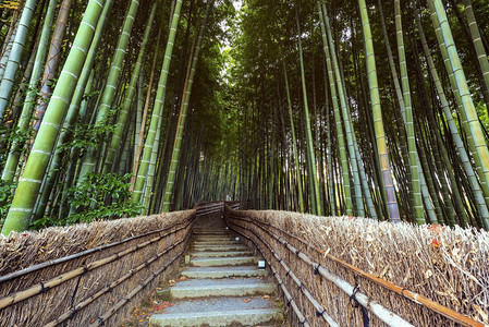 定能念佛筋日本京都岚山AdashinoNenbutsuji寺的背景