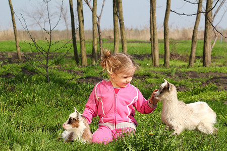 孩子和两只小山羊图片