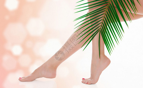女人的腿和绿色的棕榈树枝图片