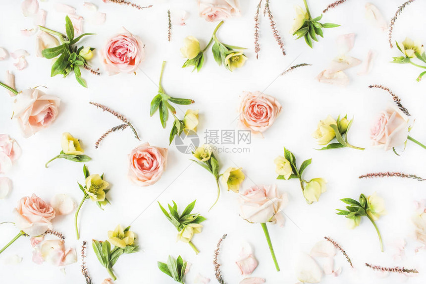花纹粉红玫瑰和白色背景的黄色花朵平面图片