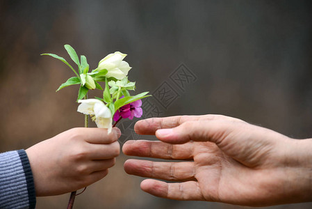 孩子的手给父亲送花图片