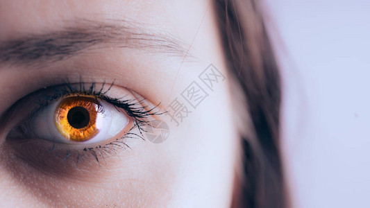 一个美丽的年轻女子的Karego眼睛的特写镜头棕色的眼睛很近人图片