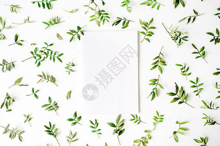 白色背景上的绿色树枝和空纸平面图片