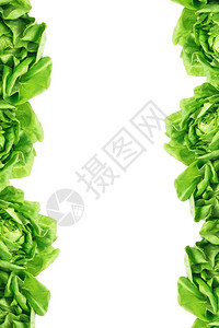 白色背景上的绿色沙拉生菜叶边框背景图片