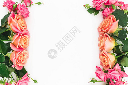 白色背景上新鲜粉红玫瑰的花框图片