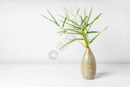 桌子背景上的花瓶里的竹叶图片