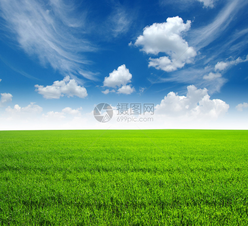 绿草和天空图片