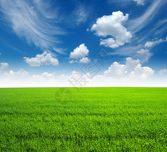 绿草和天空背景图片