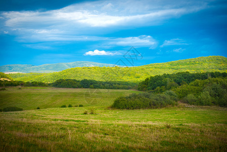 绿草地上的青草和有云的蓝图片