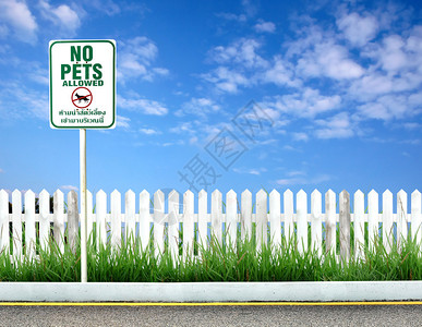 禁止携带宠物标志牌图片