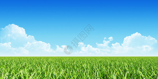 自然背景绿草如茵蓝天白云图片
