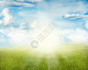 绿色草地和蓝天春背景图片