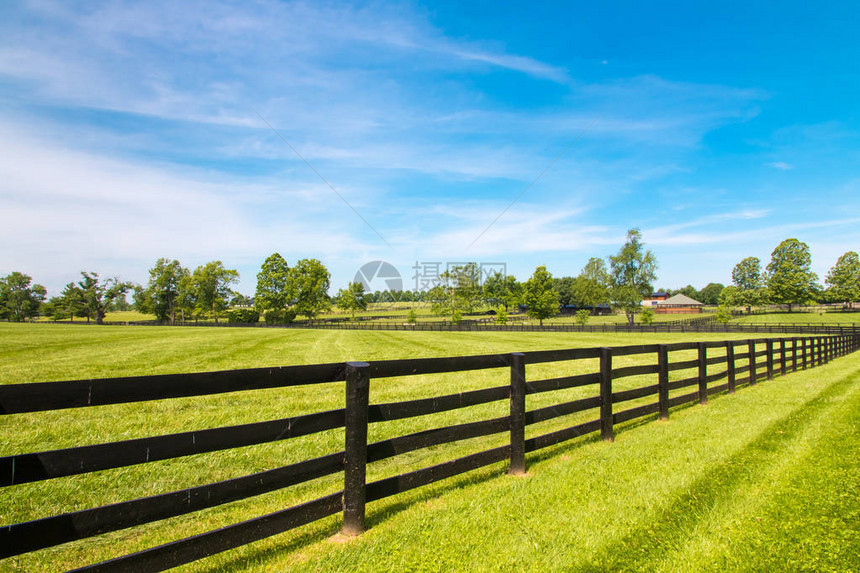 黑色的木栅栏和马场的绿色牧场图片
