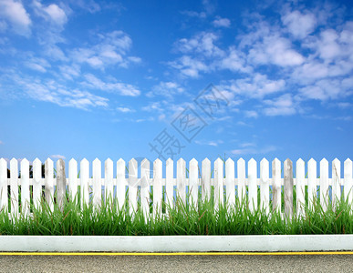绵羊篱芭有绿草和蓝天的木篱芭背景