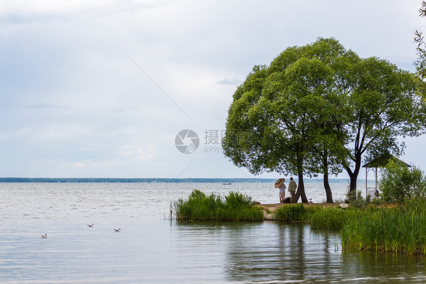 普列谢耶沃湖前景是树木图片