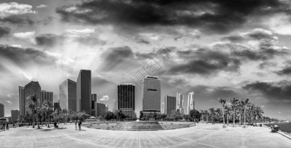 Bayfront公园和迈阿密市中心大楼的黑白景色图片