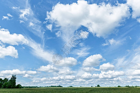 绿色的田野树木和蓝天白云图片