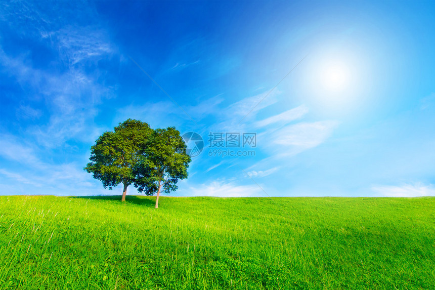 绿色和蓝色明亮的景观树图片