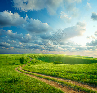 绿草路云的夏日风景高清图片