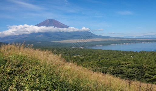 在夏季通过草地渡过藤山和图片