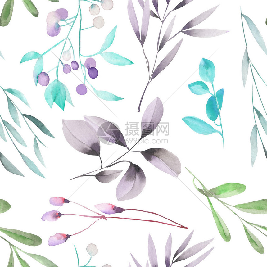 树枝和紫莓Mistletoe的无缝花卉形态图片